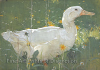 An archival premium Quality art Print of The White Drake by Joseph Crawhall for sale by Brandywine General Store