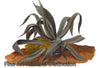 Agave Plant Study by Johan Christian Dahl Botanical Art Print