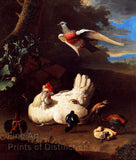 White Hen and Chicks by Melchior d'Hondecoeter
