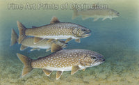 An archival premium Quality art Print of Lake Trout by Tim Knepp for sale by Brandywine General Store