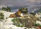 An archival premium Quality art Print of Lion in the Snow by Geza Vastagh for sale by Brandywine General Store