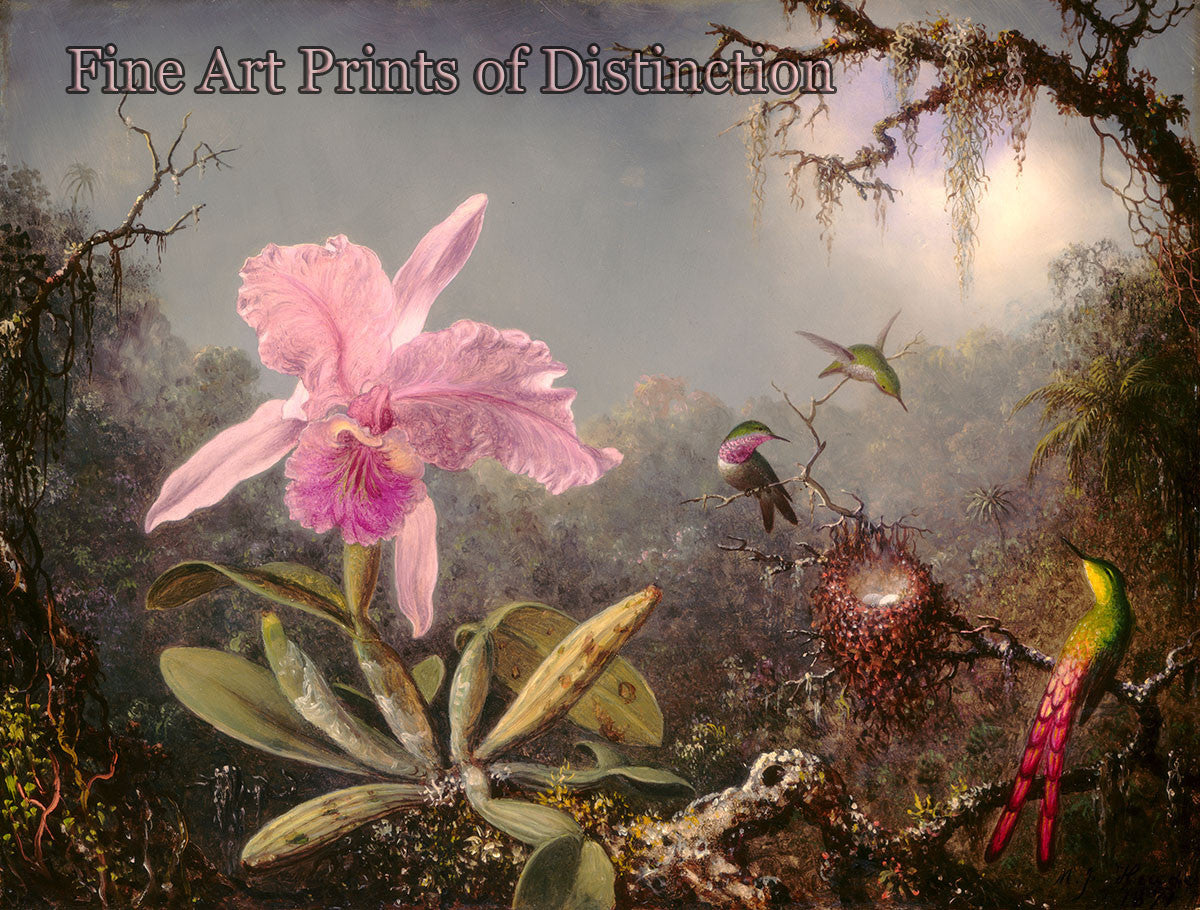 An archival premium Quality art Print of the Cattleya Orchid and Three Hummingbirds by Martin Johnson Heade for sale by Brandywine General Store