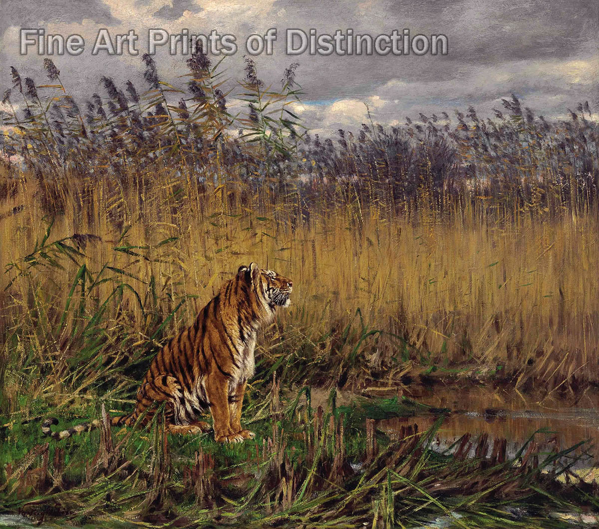 An archival premium Quality Art Print of A Tiger in a Landscape by Geza Vastagh for sale by Brandywine General Store