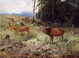 An archival premium Quality art Print of Roaring Deer Near the Forest by Christoffer Drathmann for sale by Brandywine General Store