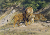 An archival premium Quality art Print of The King Watches by Rosa Bonheur for sale by Brandywine General Store