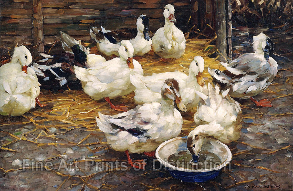 An archival premium Quality art Print of Ducks in the Straw by Alexander Koester for sale by Brandywine General Store