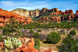Red Rock Formations and Cacti in the American Southwest scenic landscape art print