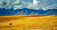 Landscape with Golden Fields and Lone Horseback Rider Art Print
