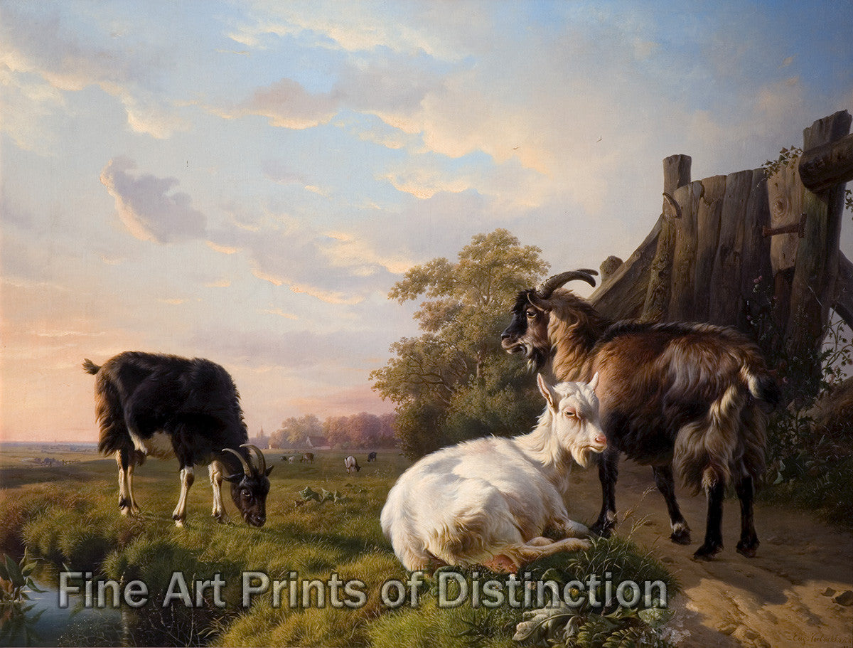 An archival premium Quality art Print of Goats by Eugene Joseph Verboeckhoven who also went by his initials EJ for sale by Brandywine General Store