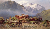 An archival premium Quality art Print of Cows Grazing on a Summer Pasture by Anton Schrodl for sale by Brandywine General Store