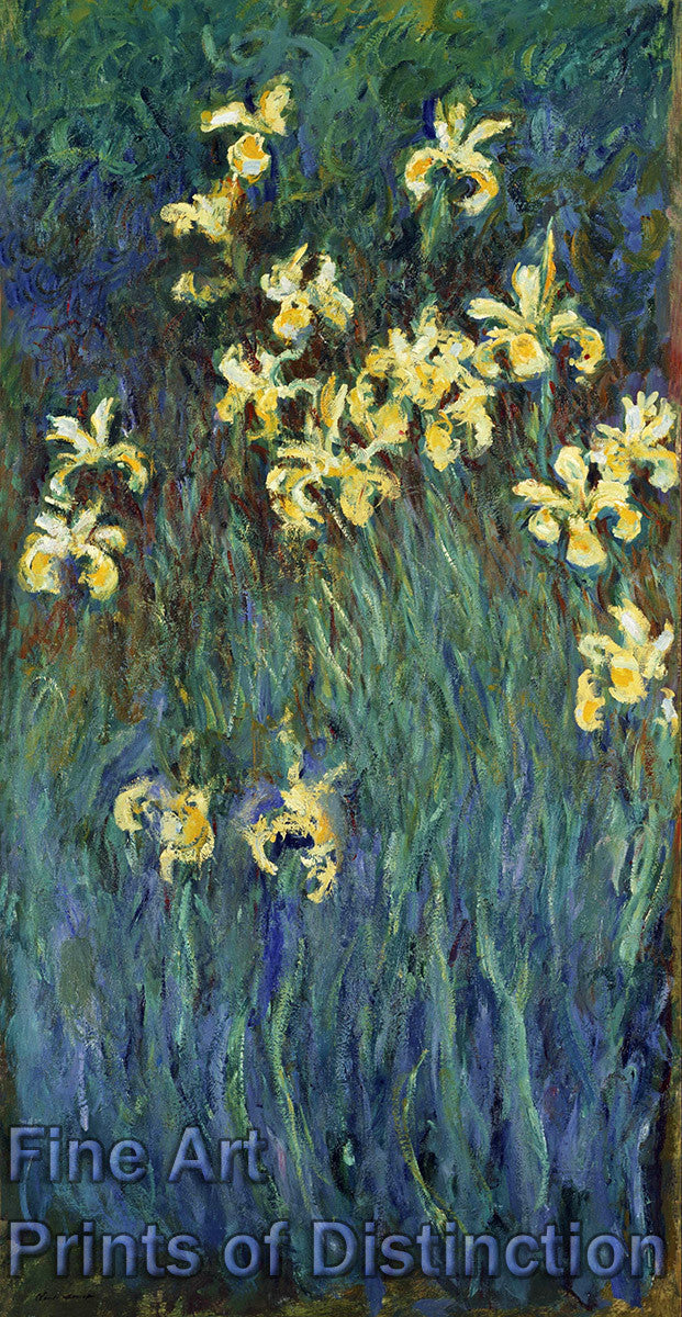 An archival premium Quality Art Print of Yellow Irises by Claude Monet for sale by Brandywine General Store