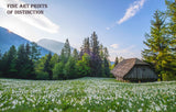 Landscape with Old Shed and White Narcissus Flowers Premium Print