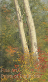 An archival premium Quality art Print of Birch Trees in Autumn by Frederic Edwin Church for sale by Brandywine General Store