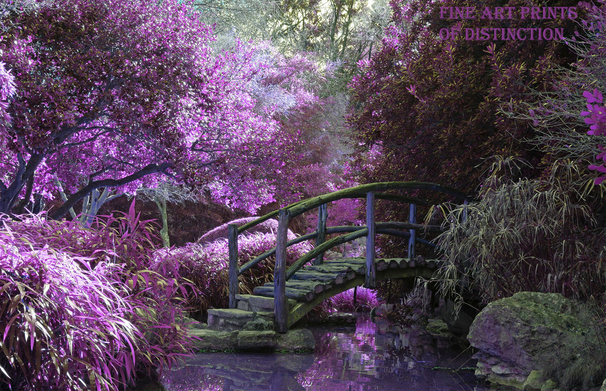 Ethereal Purples and Small Walking Bridge Premium Landscape Print