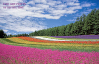 Colorful Rows of Flowers in a Scenic Landscape Premium Print
