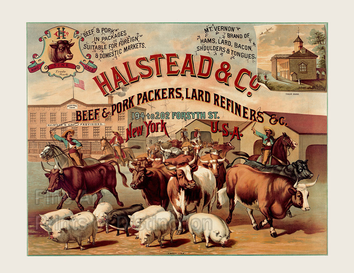 Halstead and Company Beef and Pork Packers