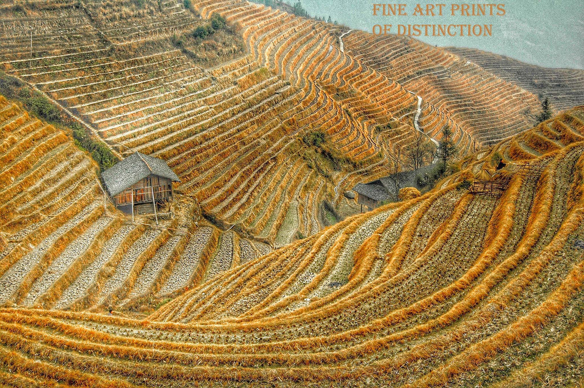 An archival premium Quality Art Print of Steep Farm Land with Terraced Plots for sale by Brandywine General Store