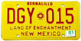 A 1981 New Mexico passenger car license plate in excellent condition