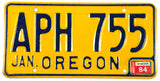 A 1984 Oregon passenger car license plate in excellent minus condition