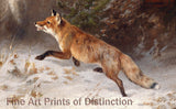 An archival premium Quality Print of Fox in the Winter Forest by Otto Grashey for sale by Brandywine General Store