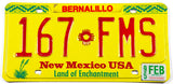 1995 New Mexico car license plate in excellent condition from Bernalillo county