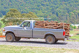 A premium quality vehicle print of a 1996 Ford F-250 Pickup Loaded down with Wood
