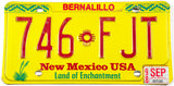 1998 New Mexico car license plate in excellent minus condition from Bernalillo county