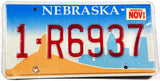2000 Nebraska car license plate from Douglas county in very good plus condition