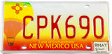 2005 New Mexico balloon license plate in excellent minus condition
