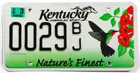 A 2009 Kentucky Hummingbird scenic License Plate in excellent minus condition