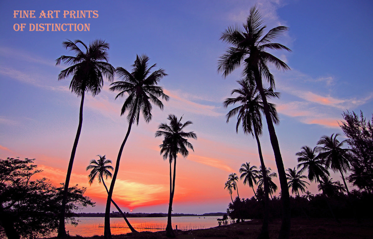 Tropical Landscape with Palm Trees and a Beautiful Sunset Premium Print