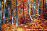 A premium Quality Art Print of A Walking Path Dividing an Orange and Red Fall Landscape for sale by Brandywine General Store