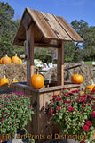 Fall Pumpkins on the Well with Mums and Hay Bales