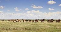 An archival premium Quality Art Print of A Line of Horses Running from the Cowboy for sale by Brandywine General Store