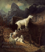 An archival premium Quality Art Print of Rocky Mountain Goats painted by Albert Bierstadt in 1885 for sale by Brandywine General Store