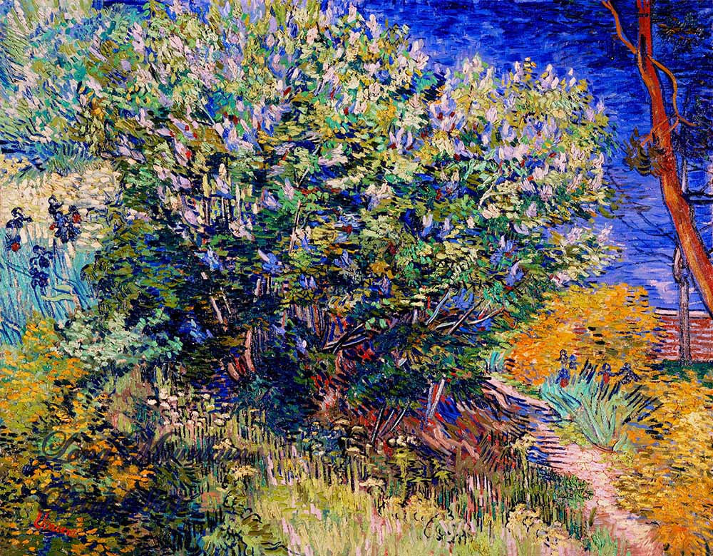 An archival premium Quality art Print of Lilac Bush by Vincent Van Gogh for sale by Brandywine General Store