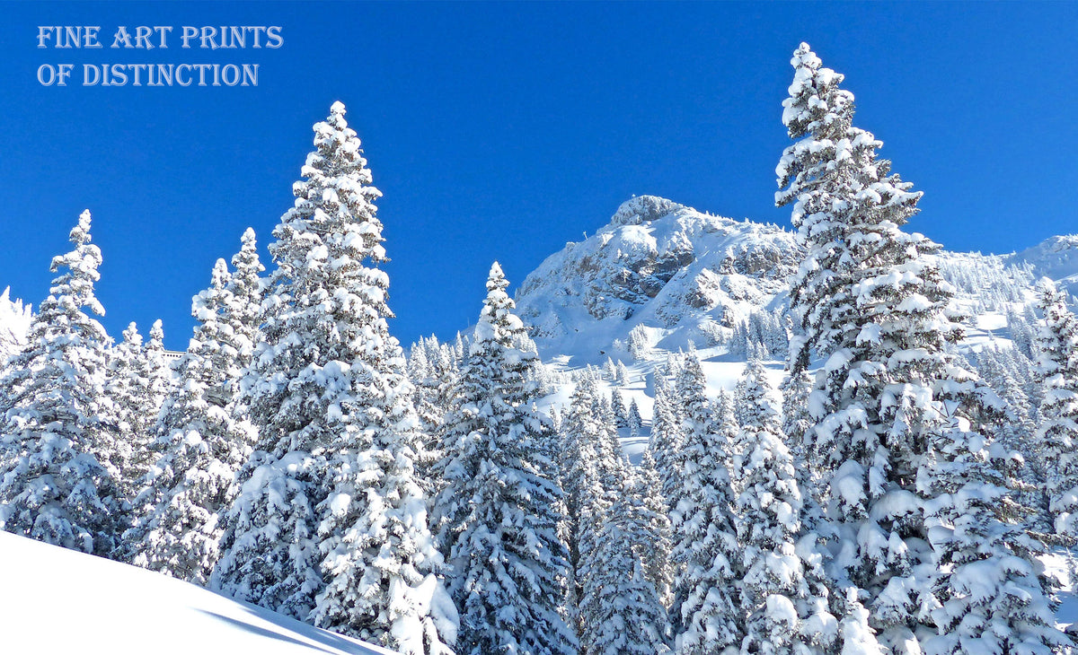 Winter Landscape with Snow Covered Pines and Mountain Peaks Art Print