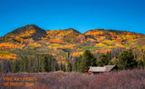 A Brilliantly Painted Mountain in Fall Colors Fine Art Print