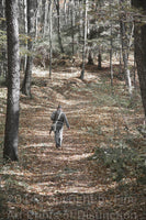 An archival premium Quality Art Print of a Civil War soldier Going Home to Virginia for sale by Brandywine General Store