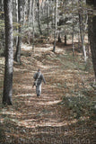 An archival premium Quality Art Print of a Civil War soldier Going Home to Virginia for sale by Brandywine General Store