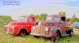 1947 Ford Pickup and Antique Dodge Truck Art Print