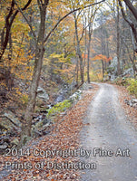Country Road with Fall Colors behind Seneca Rocks Art Print