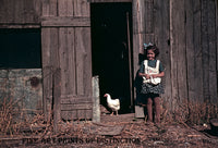 Little Girl Gathering Eggs in the Hen House from 1940