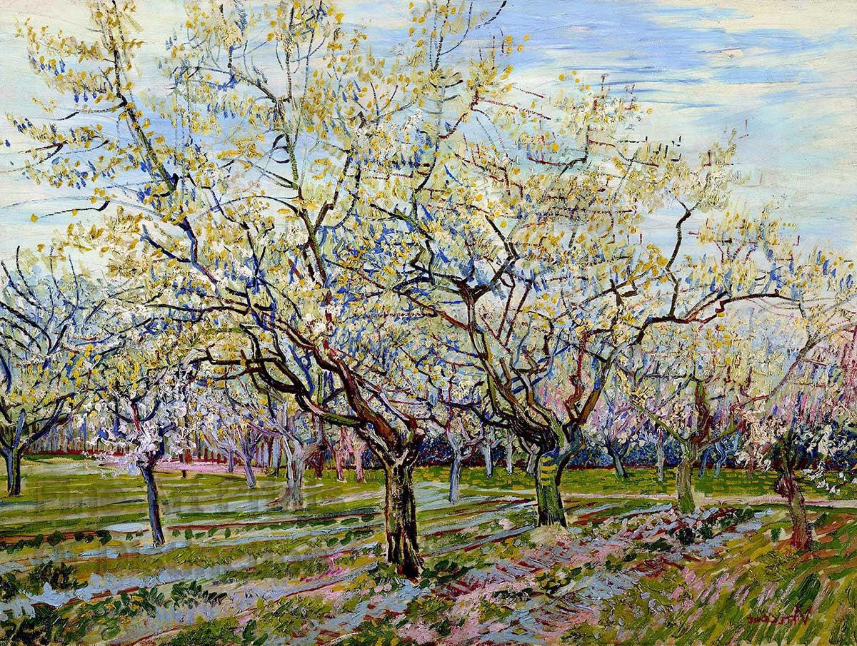 Van Gogh Vincent - The White Orchard Fine Art Print