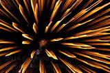 Yellow Sword Fireworks Falling from the Sky Art Print