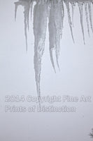 Icicles in the Pouring Snow Art Print