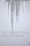 Icicles in the Pouring Snow Art Print