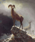 An archival premium quality art print of Bighorn Sheep by Albert Bierstadt for sale by Brandywine General Store