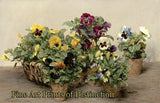 Pansies by Henri Fantin Latour Art Print