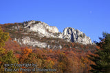 Seneca Rocks WV Framed by Trees and Moon